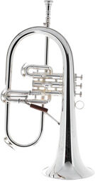 1FR-SP Vintage One Flugelhorn