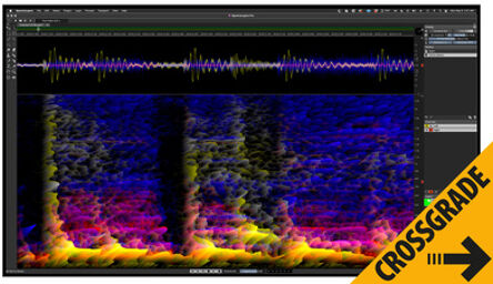 SpectraLayers Pro 12 CG