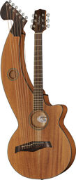 T20HGC-e Harp Guitar Naturel mat