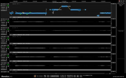 Revoice Pro