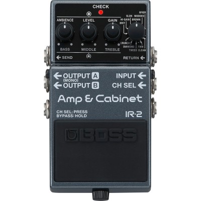 IR-2 Amp And Cabinet