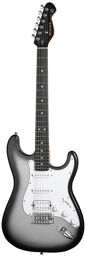 MSC12 Pro Guitar Iron Silver Iron Silver