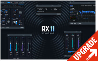 RX 11 Std UG RX St/Adv / PPS