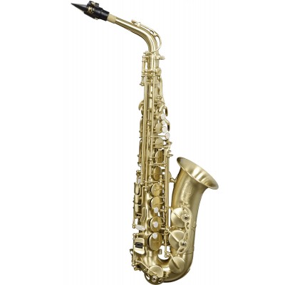 A420-II Alto Mib Brossé Verni - Stock B