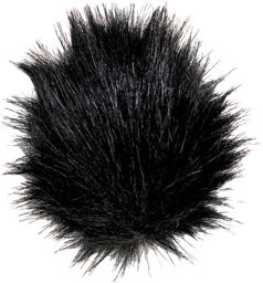 Windshield Black Black