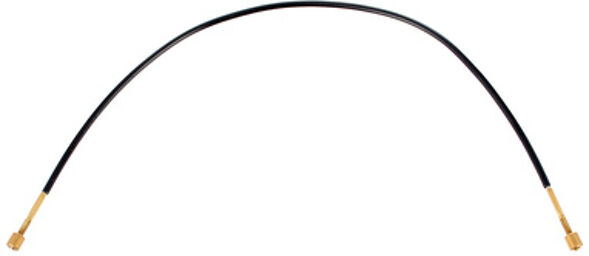Tailgut Double Bass 3/4