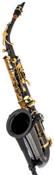 TAS-180 Black Alto Saxophone