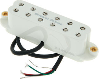 SL59-1B Parchment Parchemin