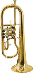 BZ-Series Bb-Flugelhorn G88 GP
