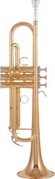 YTR-4335 GII Bb- Trumpet