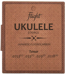 FUST-100 Tenor Ukulele Set