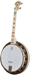 Goodtime Two 17 Fret Tenor