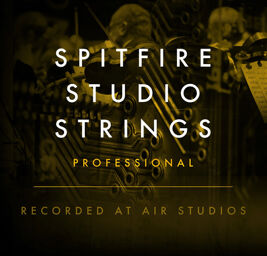 Studio Strings Professional