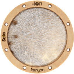 SE-ION4 Kenyan Ion