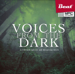 Voices from the Dark