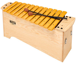 BKX 100 Bass Xylophon