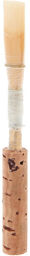 Beginner Oboe Reed