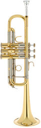 C 190L-229 Stradivarius