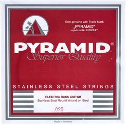 025 Single String bass guitar