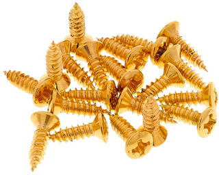 Pickguard Screws GD