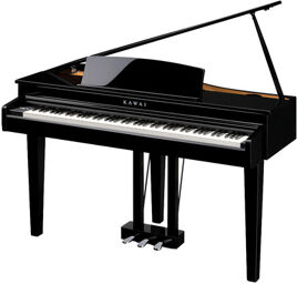 DG 30