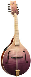 RMAE200PF Mandoline Transparent Purple Fade