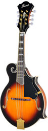 M522S-BS Brown Sunburst high