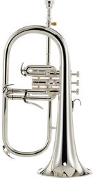 YFH-8310 ZGS 02 Flugelhorn