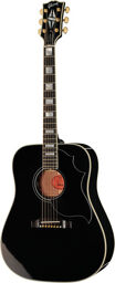Hummingbird Custom Noir
