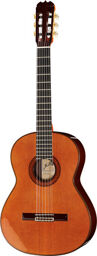 Tradicional 1A w. case