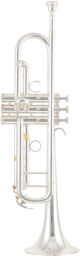 YTR-8335GS 04 Trumpet