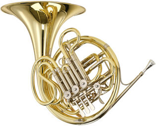 6801-L Double Horn