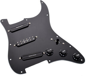 Dave Murray Loaded Pickg. BK