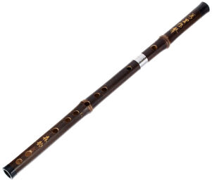 Chinese QuDi Pro Flute G