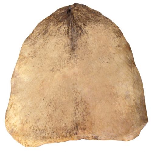 Peau De Chevre