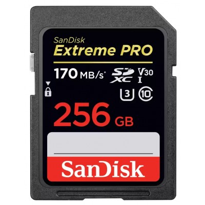 Extreme Pro 256 Go