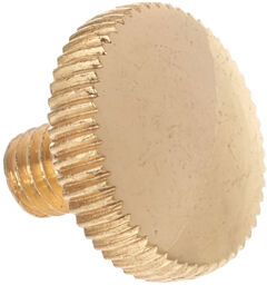 Lyre Holder Screw L