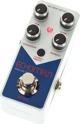 V21 Echoman
