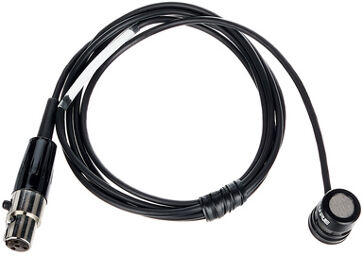 WL184M Black Noir