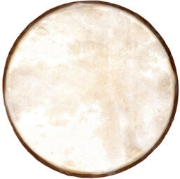 EF250 Drum Head for RT250