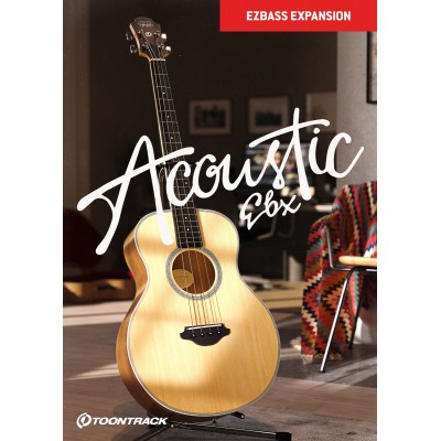 EBX Acoustic Bass
