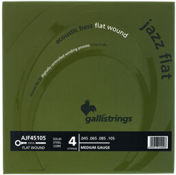 AJF45105 Acoustic Bass 4-Str.