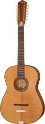 Vintage Hootenanny 12 TS Vintage Tinted Natural Matte