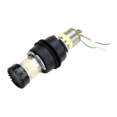 RPM 106 Capsule