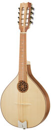 Artist Mandolin WLN