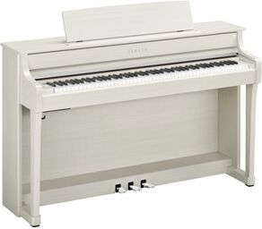 CLP-845 WB Bouleau blanc