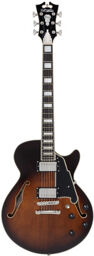 Premier SS Brown Burst Brown Burst
