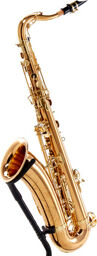 T-WO20 Elite Tenor Sax