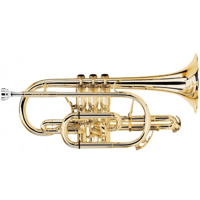 Prestige Sib Verni - BE2028-1G-0