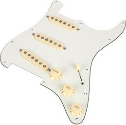 Pre-Wired ST Pickguard 50 Par Parchemin